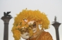 Carnevale e San Marco e San Teodoro